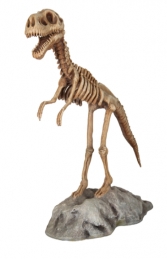 Dino Skeleton with base (JR R-047) - Thumbnail 01