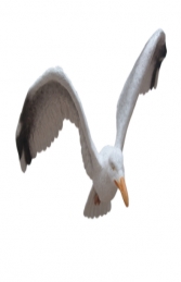 Seagull with Bent Wings (JR FSC1083BW)	 - Thumbnail 01