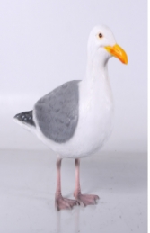 Seagull (JR 130111)