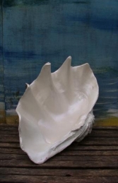 Sea Shell large (JR 1784) - Thumbnail 03
