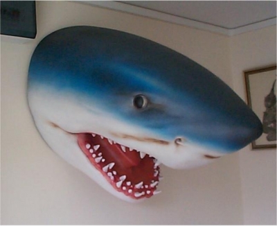 SHARK HEAD - WOOLACOMBE
