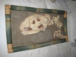Dino Skeleton head wall mounted (JR ACP1266)