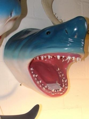 Cipliko Wall Mounted Shark Head Hand Painted Statue with Amazingly Realistic Detail 