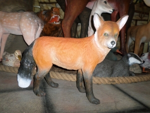 Fox (JR 2594)