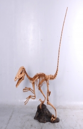 Deinonychus Skeleton (JR 140026) - Thumbnail 01