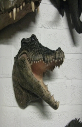 Crocodile Head (JR DD88106A) - Thumbnail 01