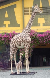 Giraffe Life-size 19ft tall (JR 2250) - Thumbnail 02