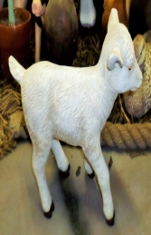 Goat - Kid (JR 130014) - Thumbnail 02