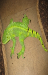 Iguana 3ft long (JR 2160) - Thumbnail 03