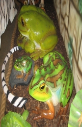 Green and Golden Bell Frog - Giant (JR 100017) - Thumbnail 03