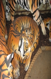 Bengal Tigress lying with Cub (JR 120011) - Thumbnail 03