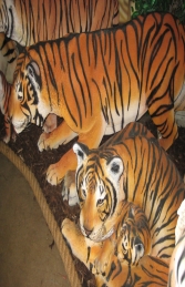 Bengal Tigress lying with Cub (JR 120011) - Thumbnail 02