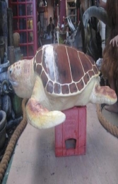 Loggerhead Turtle  (JR 090048) - Thumbnail 03