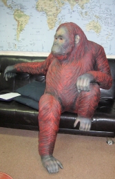 Orangutan Sitting (JR 2918) - Thumbnail 03