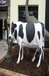 Cow Standing (JR FSC1339) - Thumbnail 01