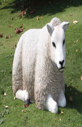 Texelaar Sheep Lying Down (JR 100023w)    - Thumbnail 01