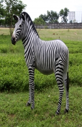 Zebra (JR 110075)	 - Thumbnail 01