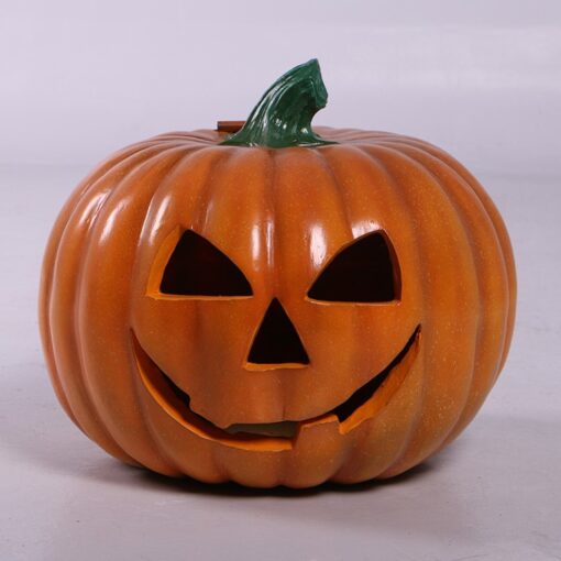 PUMPKIN #5 JR 150094