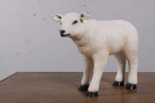 TEXELAAR LAMB JR 190004 - Image 3