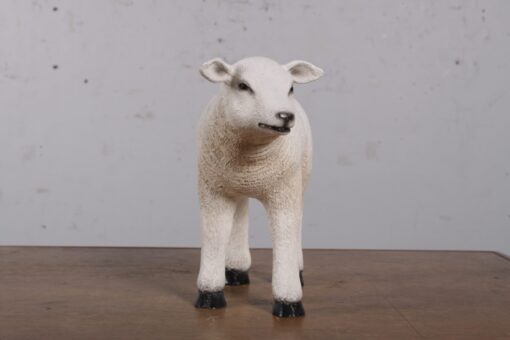 TEXELAAR LAMB JR 190004 - Image 4
