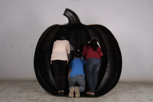 PUMPKIN PHOTO OP JR 190075 - Image 4