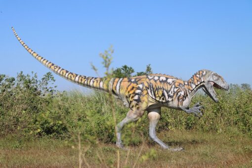AUSTRALOVENATOR GELCOAT JR 200085GC - Image 4