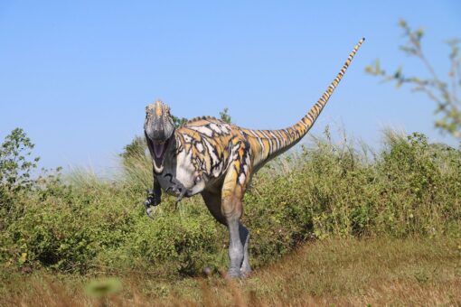 AUSTRALOVENATOR GELCOAT JR 200085GC - Image 7