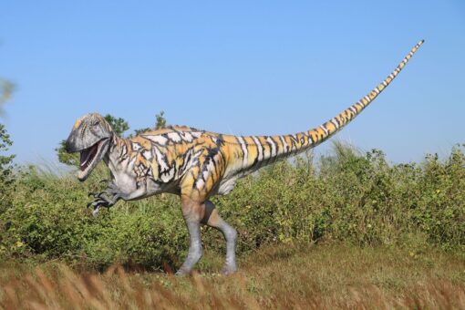 AUSTRALOVENATOR GELCOAT JR 200085GC - Image 8