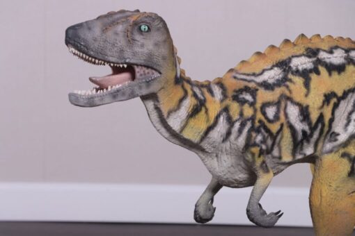 AUSTRALOVERNATOR SMALL GELCOAT JR 210079GC - Image 2