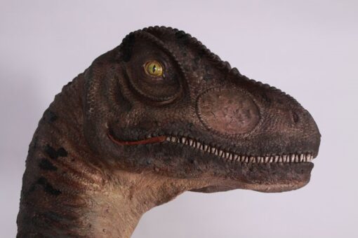 ALLOSAURUS LOOKING BACK JR 090071 - Image 8