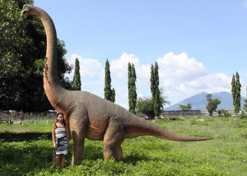 BRACHIOSAURUS STRAIGHT NECK JR 100055 - Image 4