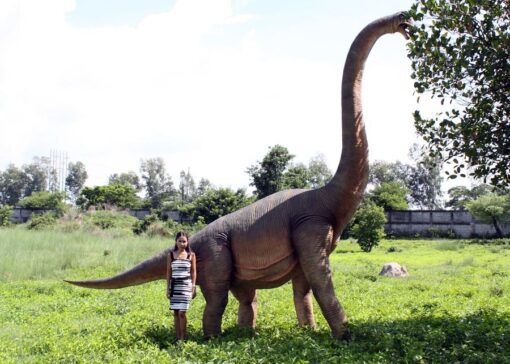 BRACHIOSAURUS STRAIGHT NECK JR 100055 - Image 5