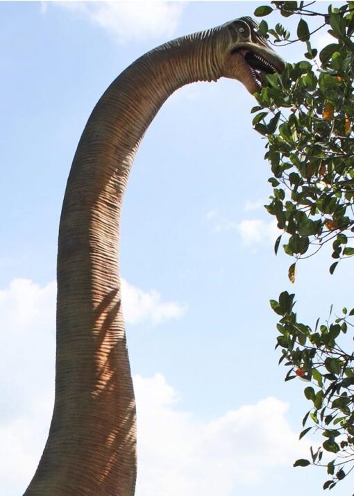 BRACHIOSAURUS STRAIGHT NECK JR 100055 - Image 2
