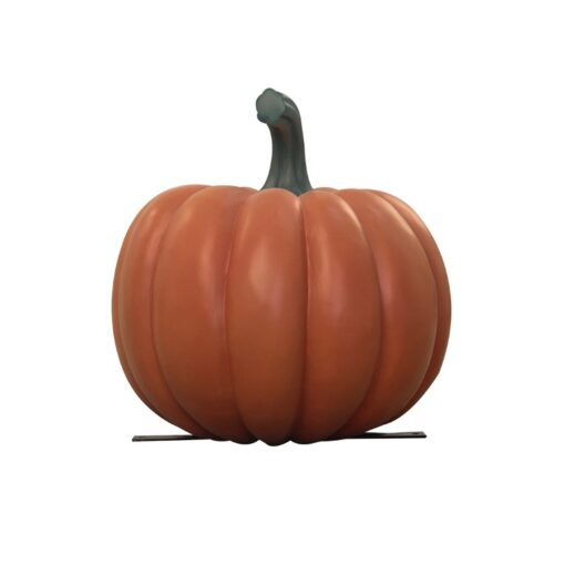 PUMPKIN JR C-141 - Image 2