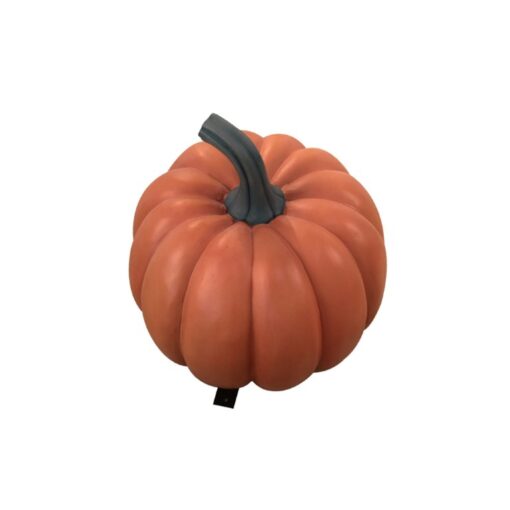 PUMPKIN JR C-141 - Image 3