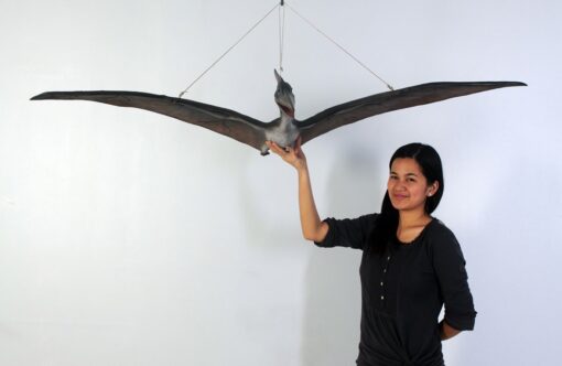 BABY PTERANODON FLYING JR 110062 - Image 4