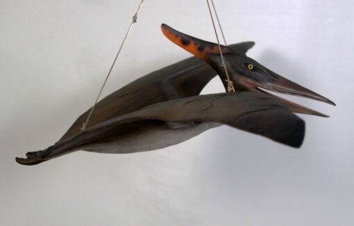 BABY PTERANODON FLYING JR 110062 - Image 3