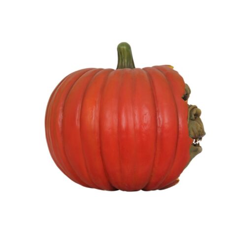 SPOOKY WHOLE PUMPKIN SMALL JR S-005 - Image 3