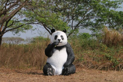 PANDA SITTING  JUMBO JR 160039 - Image 11