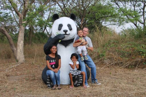 PANDA SITTING  JUMBO JR 160039 - Image 10