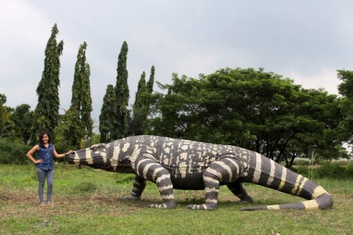MEGALANIA JR 130056 - Image 3