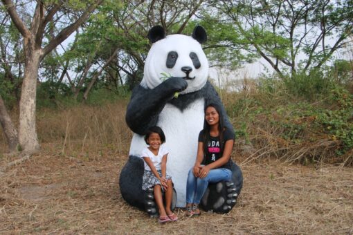 PANDA SITTING  JUMBO JR 160039 - Image 9