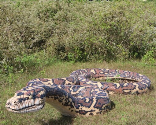 CARPET PYTHON - GELCOAT JR 190157GC