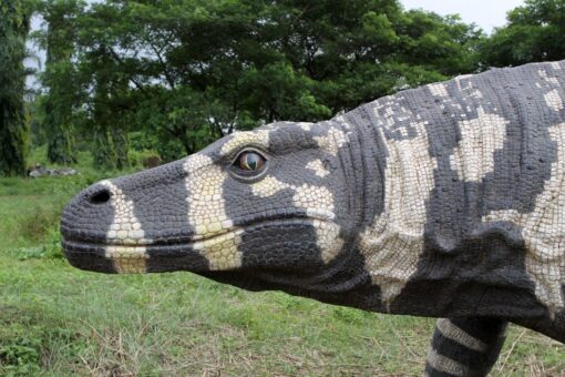 MEGALANIA JR 130056 - Image 5