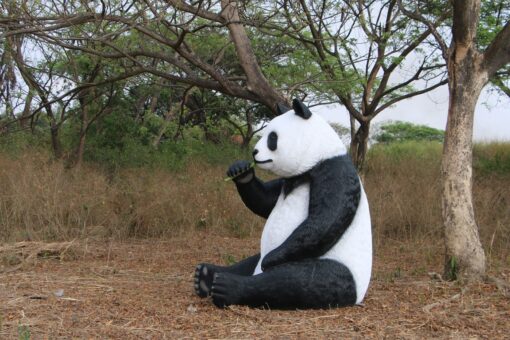 PANDA SITTING  JUMBO JR 160039 - Image 6