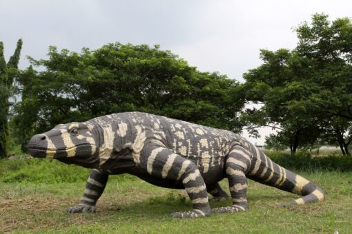 MEGALANIA JR 130056 - Image 6