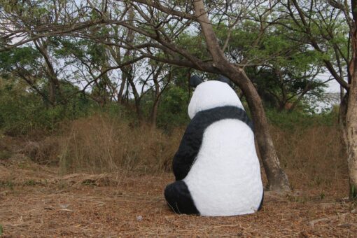 PANDA SITTING  JUMBO JR 160039 - Image 5