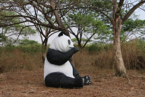 PANDA SITTING  JUMBO JR 160039 - Image 3