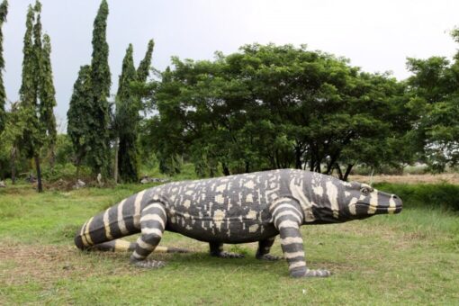 MEGALANIA JR 130056 - Image 2