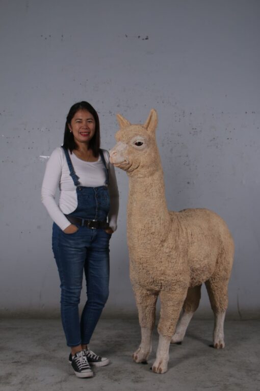 ALPACA JR 080074 - Image 4